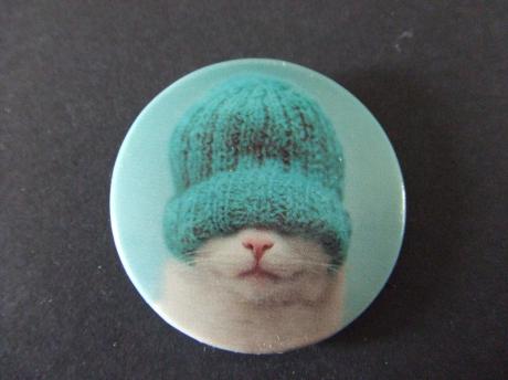 Poes-Kat met gebreide muts op